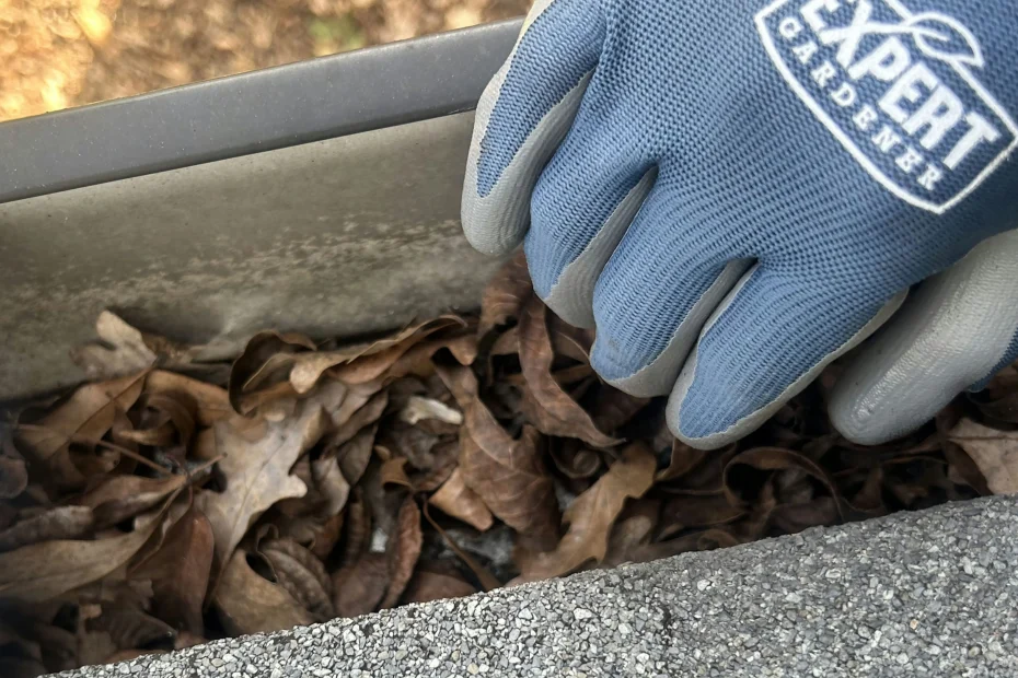 Ludlow Gutter Cleaning